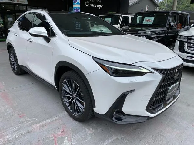 Lexus NX 2023 — миниатюра 2