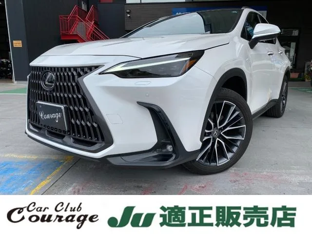 Lexus NX 2023 — фото 1, купить с доставкой в Москву