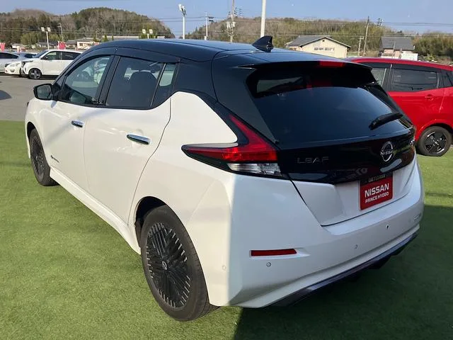 Nissan LEAF e+ G 2023 — миниатюра 2