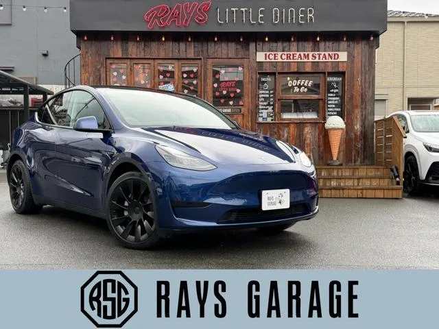 Tesla MODEL Y RWD 2023 — фото 1, купить с доставкой в Москву
