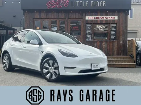 Tesla Model Y 2023 buy in Moscow