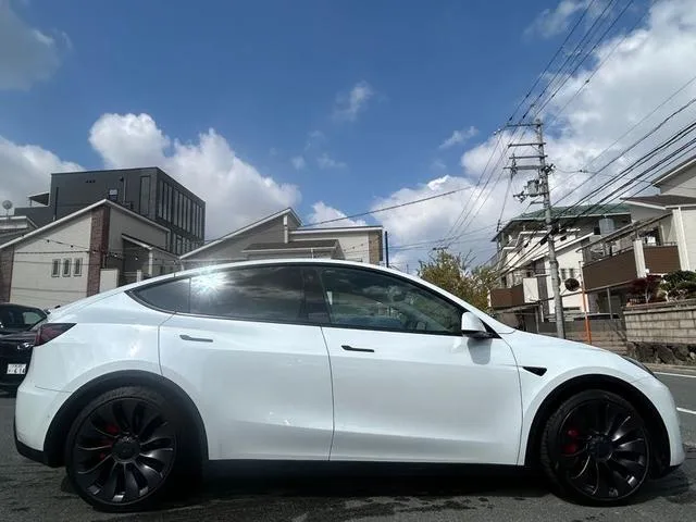 Tesla MODEL Y PERFORMANCE 2022 — миниатюра 4