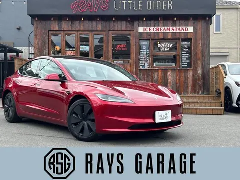 Tesla Model 3 2024 buy in Moscow