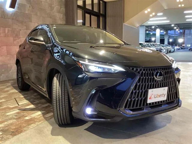 Lexus NX NX250 2025 — миниатюра 5