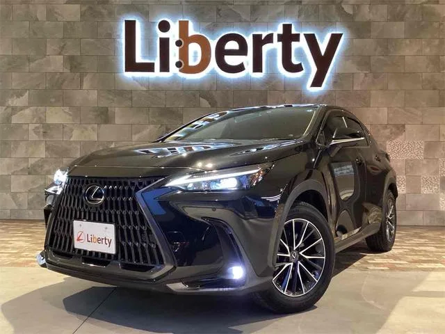 Lexus NX NX250 2025 — фото 1, купить с доставкой в Москву