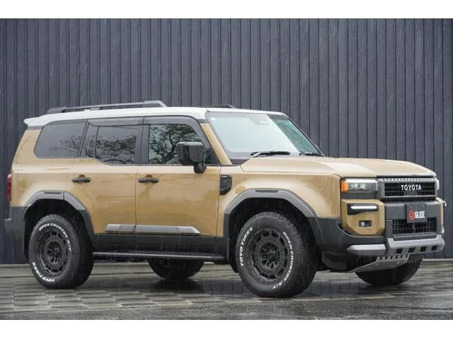 Toyota LAND CRUISER 250 ZX 2024 — фото 1, купить с доставкой в Москву
