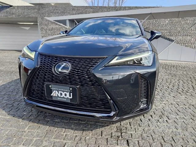 Lexus UX UX250H F SPORT 2023 — миниатюра 2