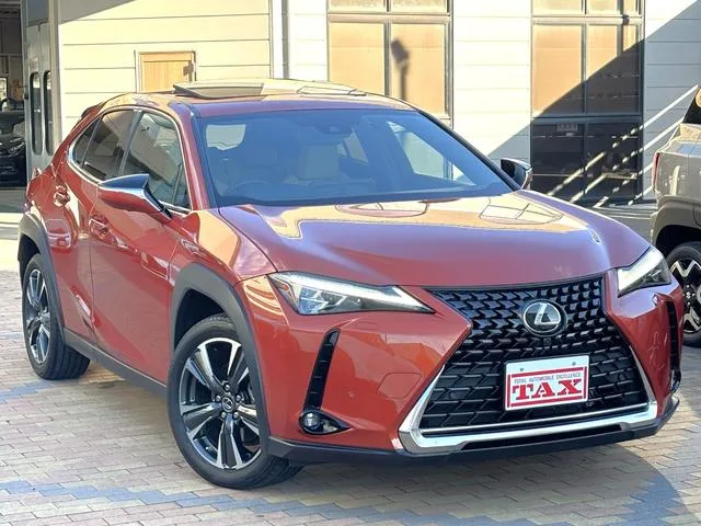 Lexus UX UX250H VERSION L 2022 — миниатюра 2