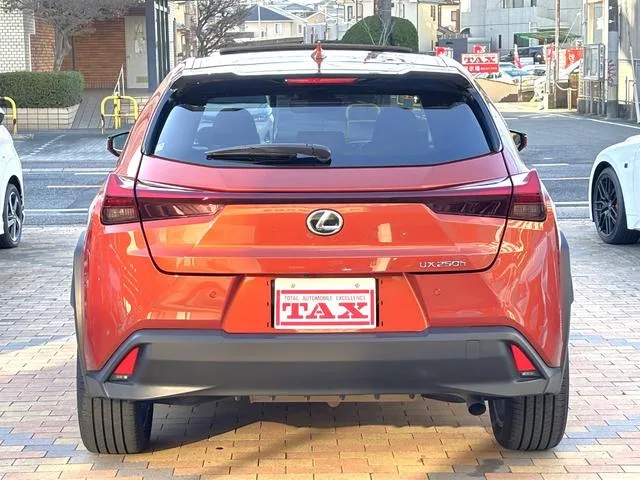 Lexus UX UX250H VERSION L 2022 — миниатюра 3