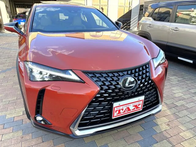 Lexus UX UX250H VERSION L 2022 — миниатюра 4