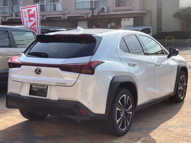 Lexus UX UX250H VERSION L 2023 — миниатюра 5