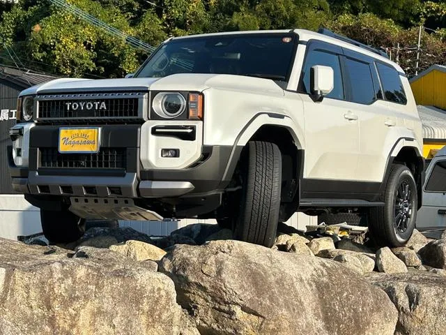 Toyota LAND CRUISER 250 VX 2025 — миниатюра 2