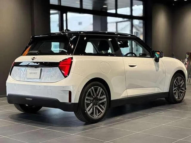 MINI MINI 2024 — миниатюра 2
