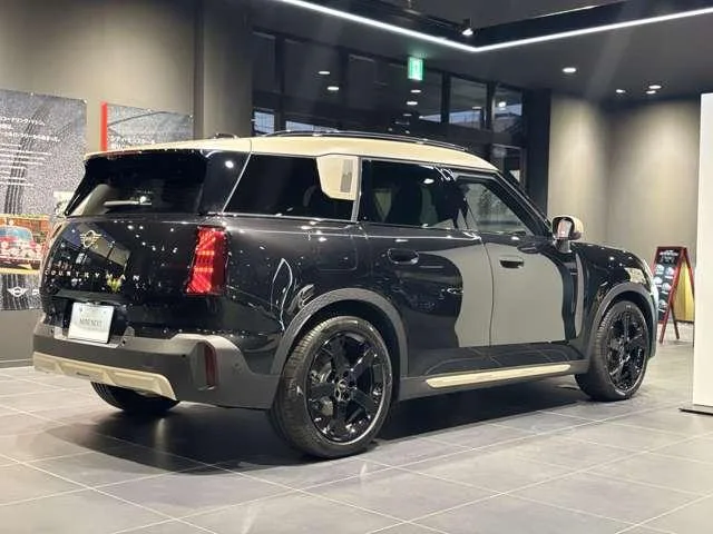 MINI MINI 2025 — миниатюра 2