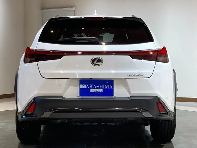 Lexus UX UX250H F SPORT 2023 — миниатюра 3