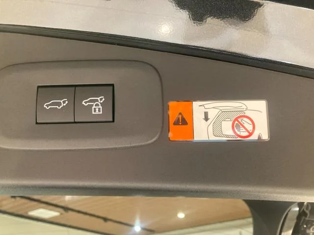 Lexus RZ RZ450E VERSION L 2023 — миниатюра 4