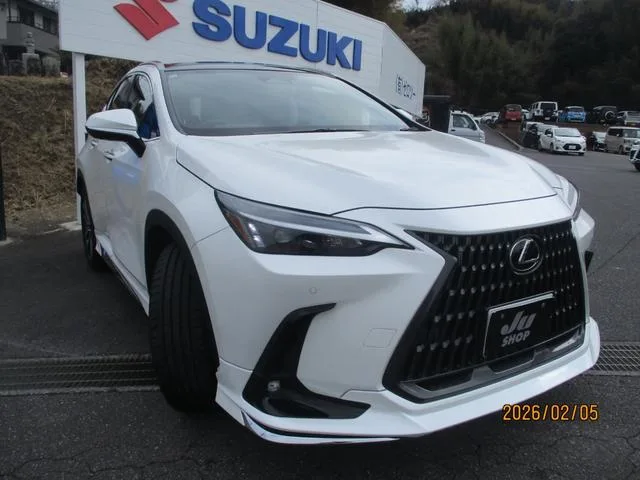 Lexus NX NX250 2024 — миниатюра 2
