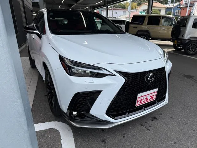 Lexus NX NX350H F SPORT 2023 — миниатюра 5