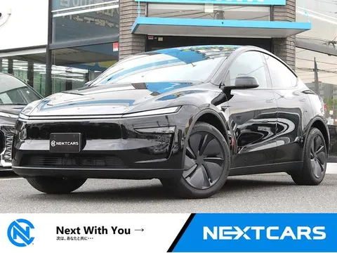 Tesla Model Y 2026 buy in Moscow