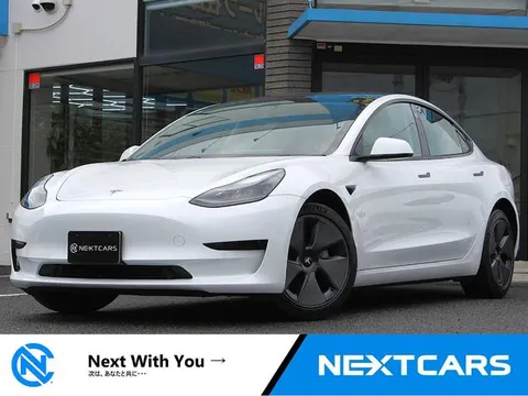 Tesla Model 3 2022 buy in Moscow