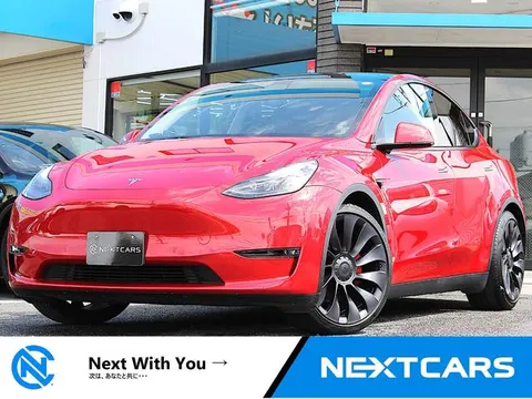 Tesla Model Y 2022 buy in Moscow