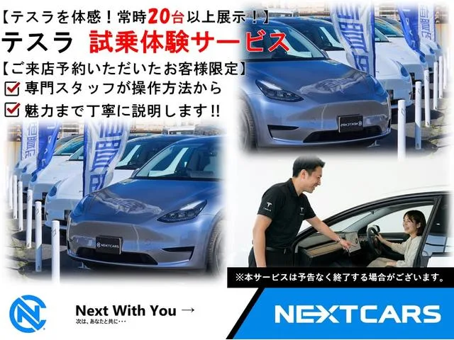 Tesla MODEL 3 2025 — миниатюра 2