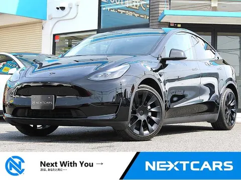 Tesla Model Y 2022 buy in Moscow