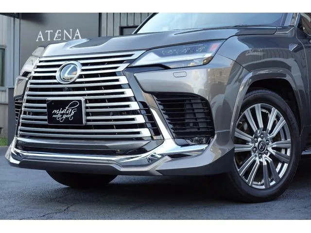 Lexus LX LX600 EXECUTIVE 2022 — миниатюра 2
