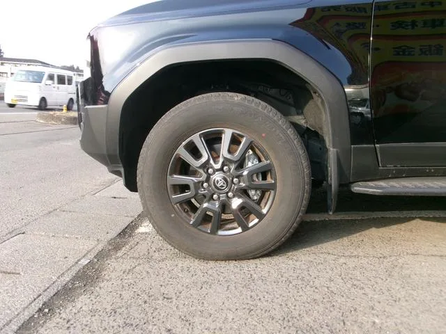 Toyota LAND CRUISER 250 VX 2025 — миниатюра 3