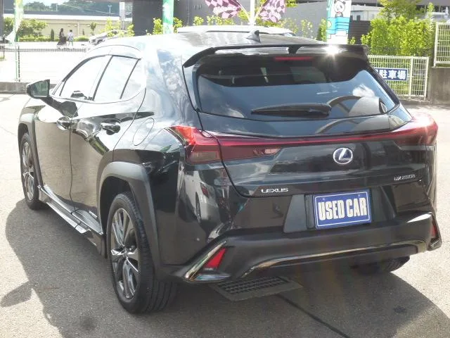 Lexus UX UX250H F SPORT 2022 — миниатюра 2