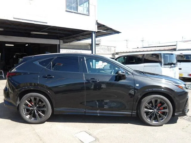 Lexus NX NX350H F SPORT 2023 — миниатюра 2