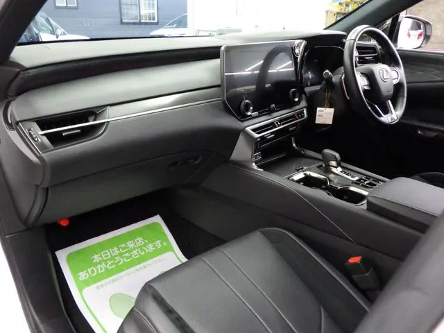 Lexus RX RX500H F SPORT PERFORMANCE 2023 — миниатюра 4