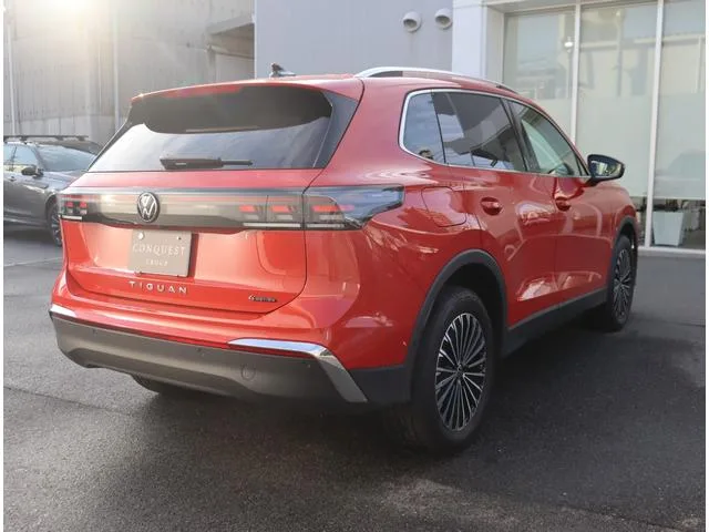 Volkswagen Tiguan TDI 4MOTION ELEGANCE 2025 — миниатюра 5