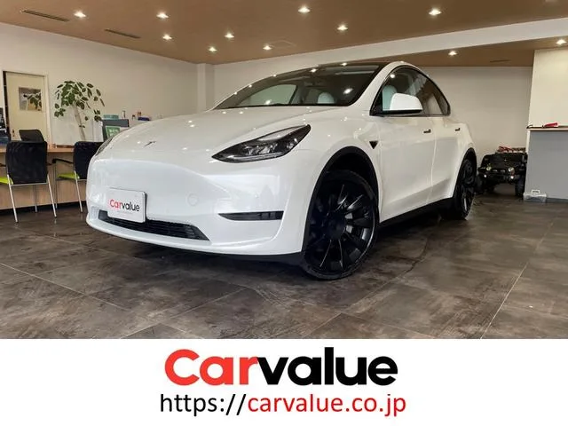 Tesla MODEL Y RWD 2023 — фото 1, купить с доставкой в Москву