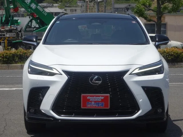 Lexus NX NX350H F SPORT 2022 — миниатюра 4