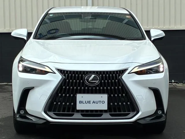 Lexus NX NX350H 2023 — миниатюра 2