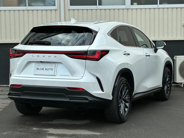 Lexus NX NX350H 2023 — миниатюра 3