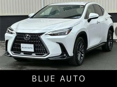 Lexus NX 2023 buy in Moscow