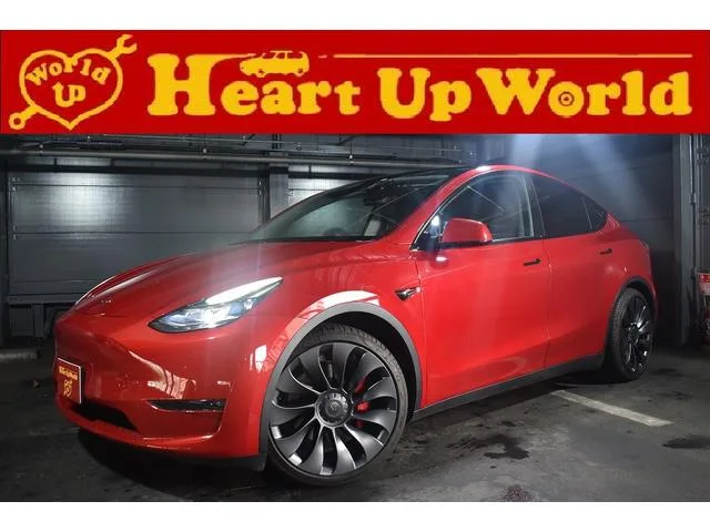 Tesla MODEL Y PERFORMANCE 2022 — фото 1, купить с доставкой в Москву