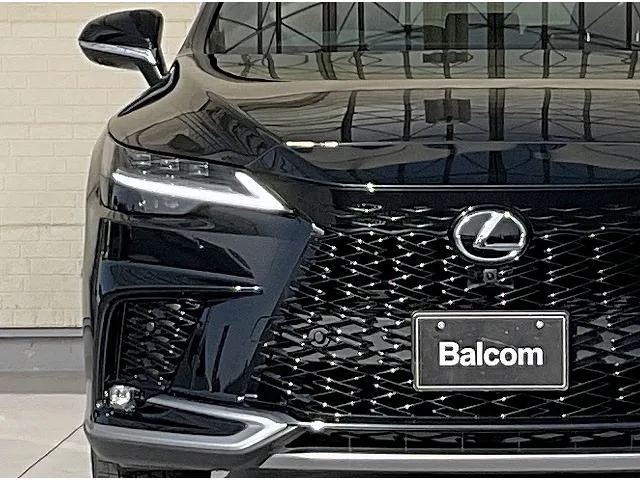 Lexus RX RX350 F SPORT 2025 — миниатюра 3