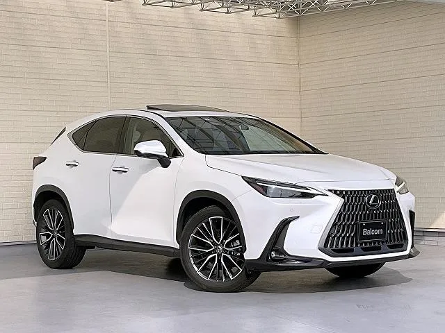 Lexus NX NX250 VERSION L 2023 — миниатюра 5