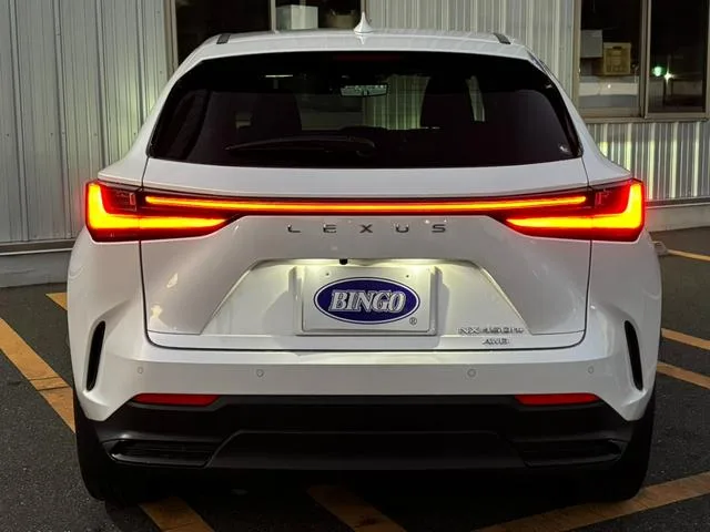 Lexus NX NX450H+ VERSION L 2022 — миниатюра 2