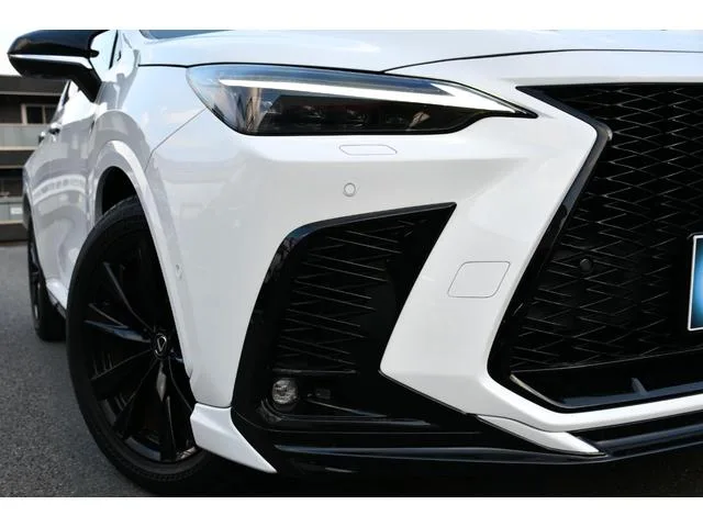 Lexus NX NX350H F SPORT 2023 — миниатюра 2