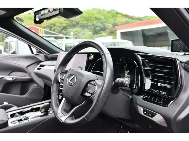 Lexus RX RX500H F SPORT PERFORMANCE 2024 — миниатюра 5