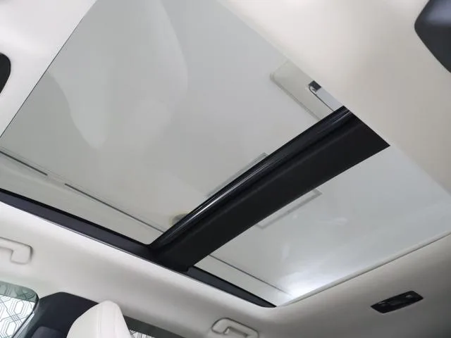 Lexus RX RX450H+ VERSION L 2023 — миниатюра 2