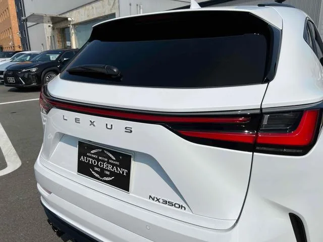 Lexus NX NX350H F SPORT 2023 — миниатюра 5