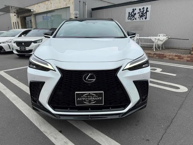 Lexus NX NX350H F SPORT 2023 — миниатюра 4