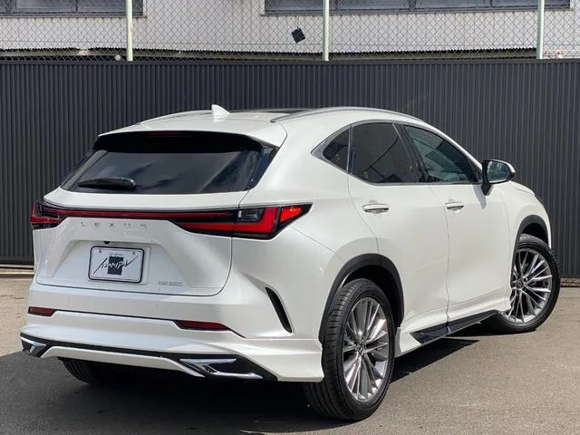 Lexus NX NX250 VERSION L 2023 — миниатюра 2