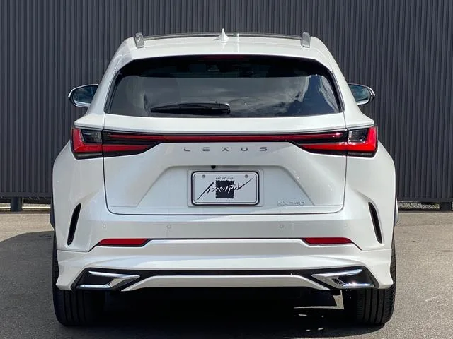 Lexus NX NX250 VERSION L 2023 — миниатюра 3