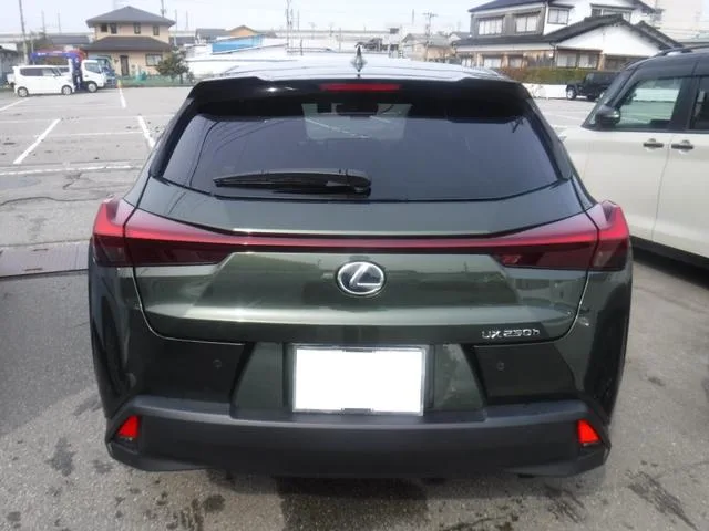 Lexus UX UX250H VERSION L 2023 — миниатюра 2
